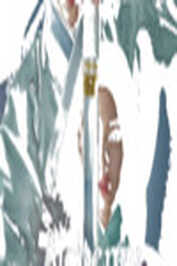 EN - Alchemy Of Souls (2022)