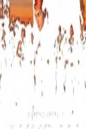 NF - Gundam: Requiem For Vengeance (2024)