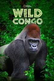 NL - WILD CONGO