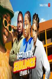 AF - Accidental Siblings (2024)