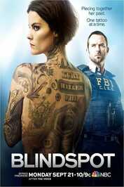 EN - Blindspot (2015)