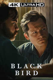 4K-DE - In with the Devil (2022) (US)