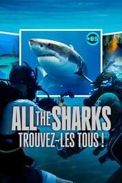 FR - All the Sharks : Trouvez-les tous ! (2025) (US)