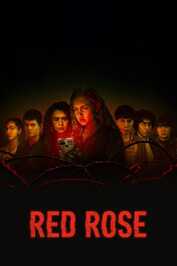 PL - Red Rose