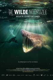NL - DE WILDE NOORDZEE (2025)