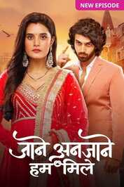 IN - Jaane Anjaane Hum Mile (2024)