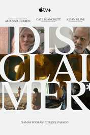 ES - Disclaimer (2024)