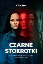 FR - Black Daisies (2025)