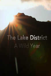 NL - A WILD YEAR