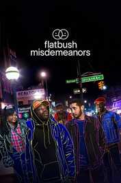 FR - Flatbush Misdemeanors